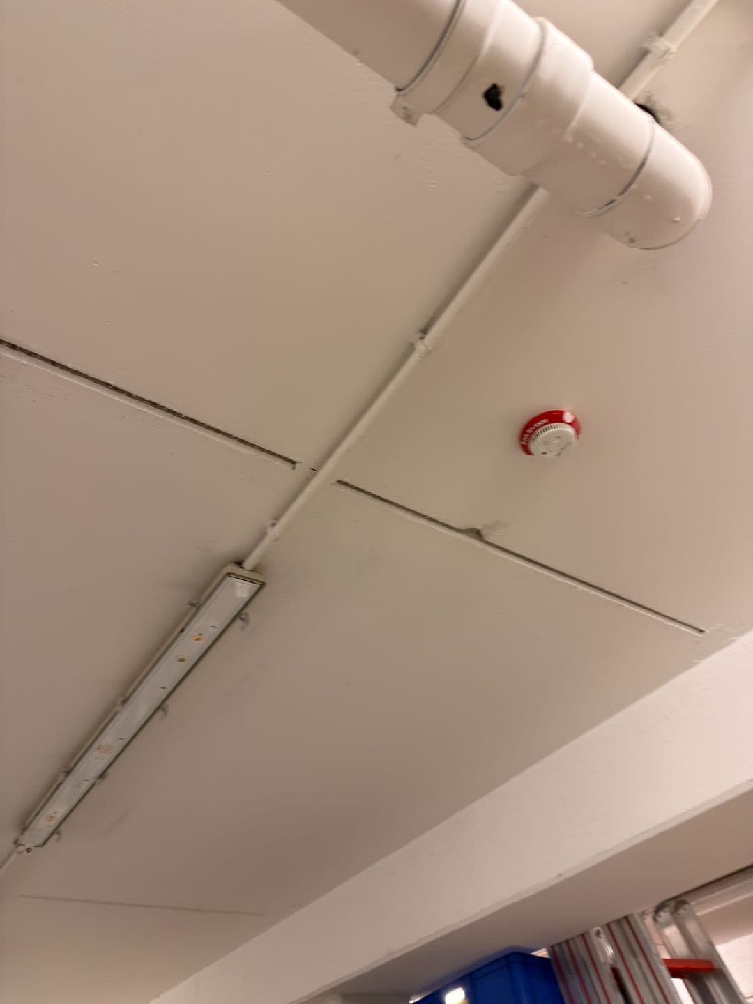 stadt-schwetzingen Bild 4